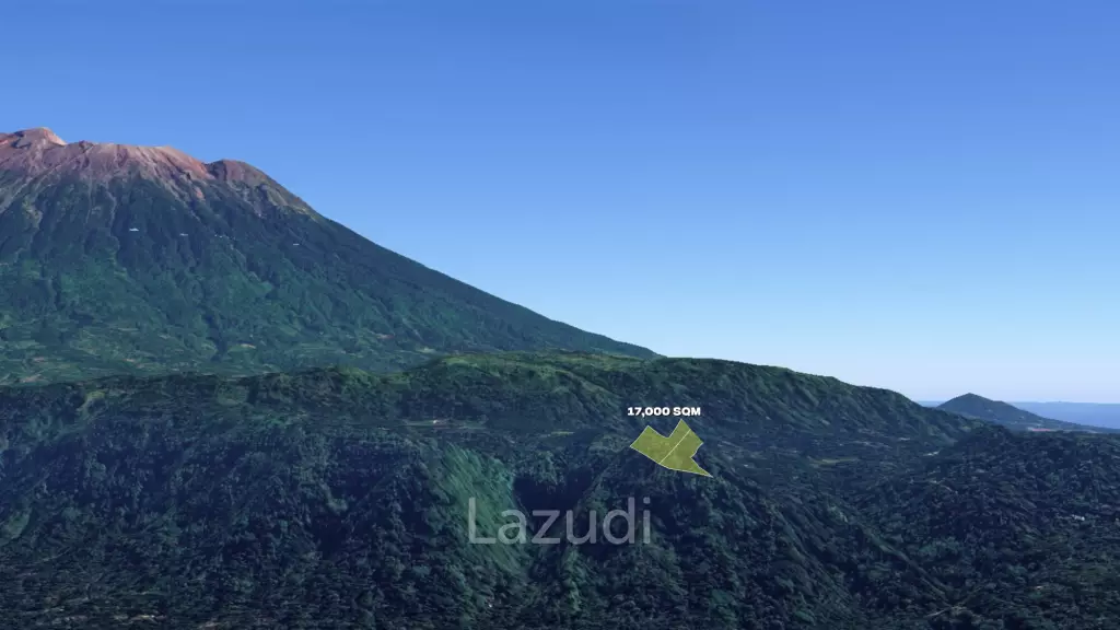 Substantial 1.7-Hectare Development Land in Karangasem