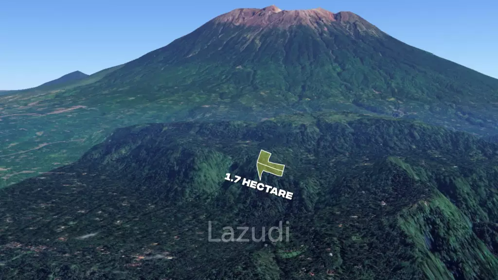 Substantial 1.7-Hectare Development Land in Karangasem