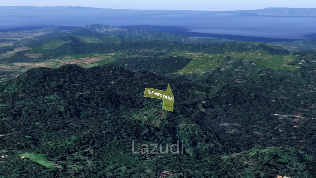Substantial 1.7-Hectare Development Land in Karangasem