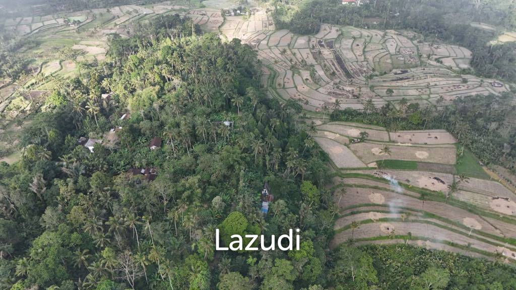 Expansive 1.57-Hectare Freehold Development Land