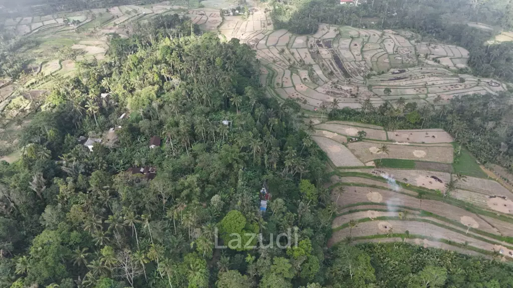 Expansive 1.57-Hectare Freehold Development Land