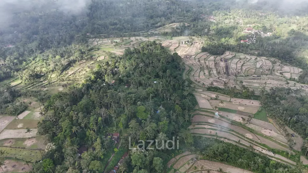 Expansive 1.57-Hectare Freehold Development Land