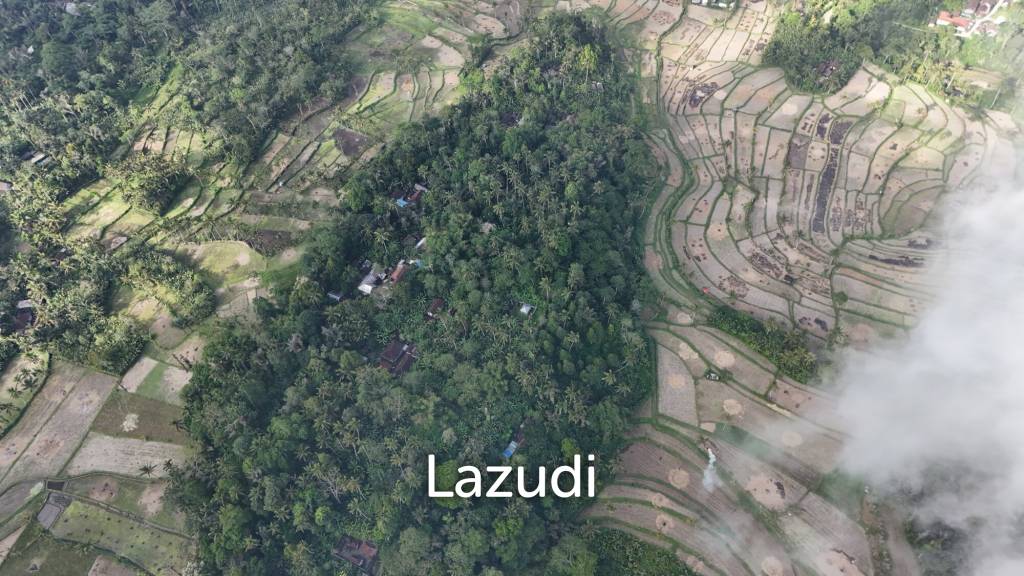 Expansive 1.57-Hectare Freehold Development Land