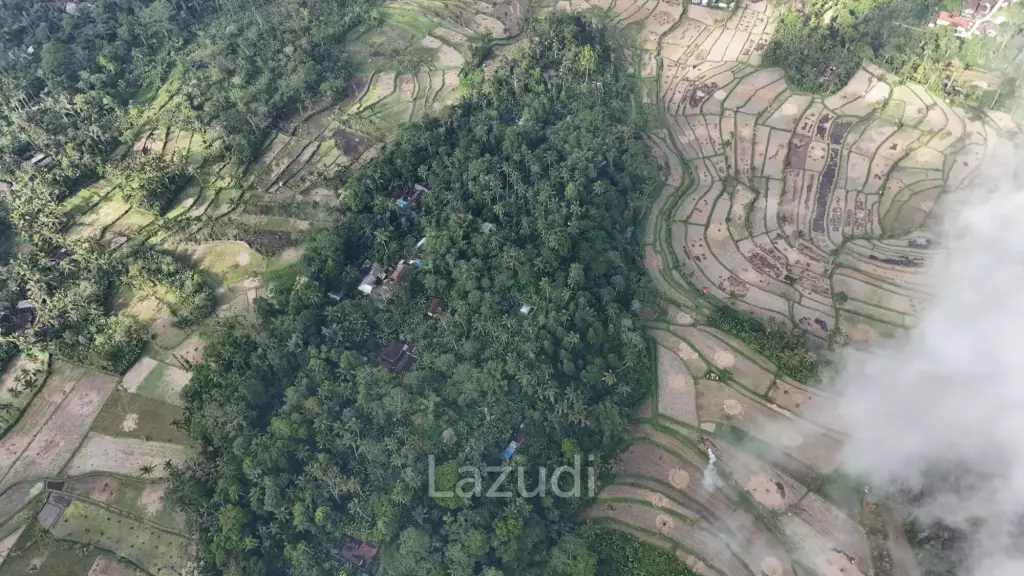Expansive 1.57-Hectare Freehold Development Land