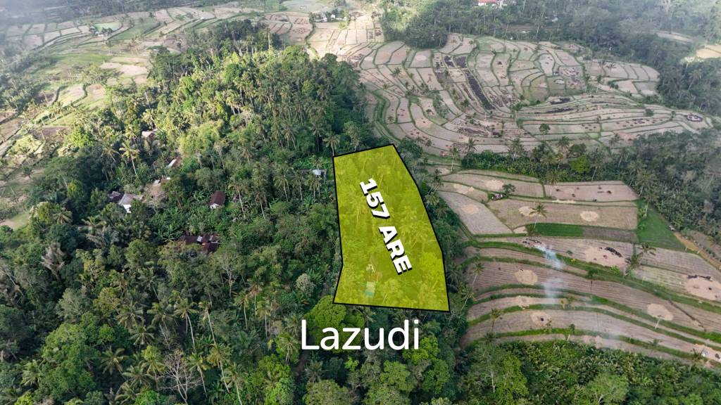 Expansive 1.57-Hectare Freehold Development Land