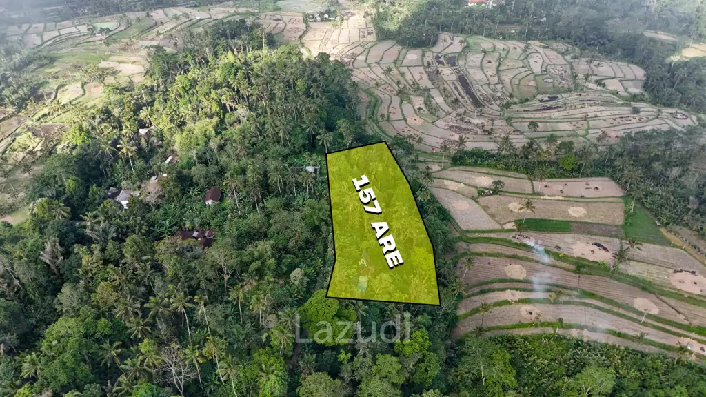 Expansive 1.57-Hectare Freehold Development Land