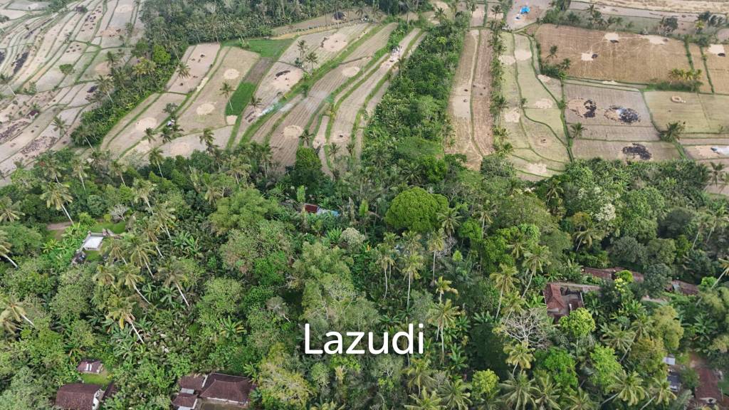 Expansive 1.57-Hectare Freehold Development Land