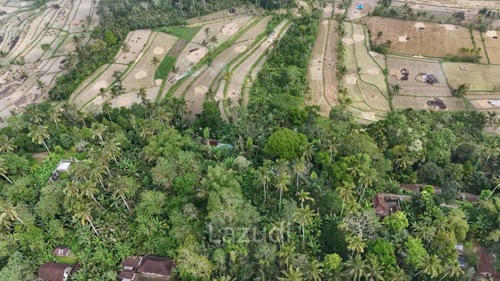 Expansive 1.57-Hectare Freehold Development Land