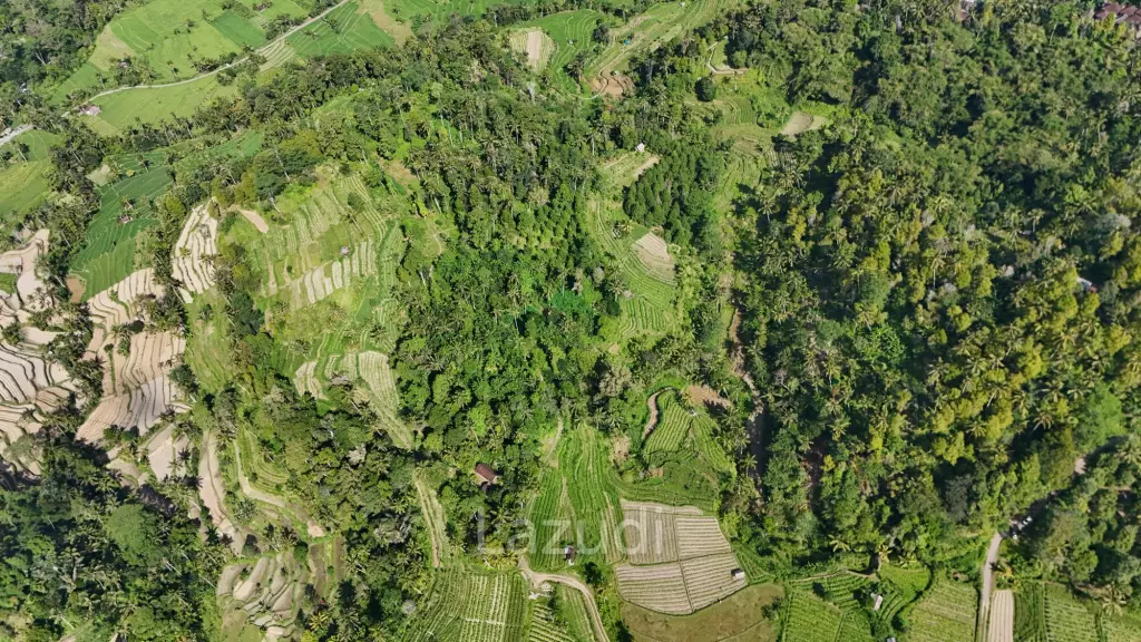 Prime 2-Hectare Freehold Development Land in Sidemen