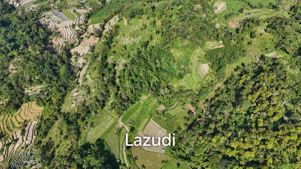 Prime 2-Hectare Freehold Development Land in Sidemen