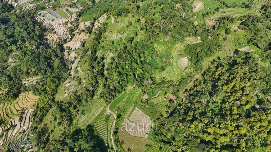 Prime 2-Hectare Freehold Development Land in Sidemen