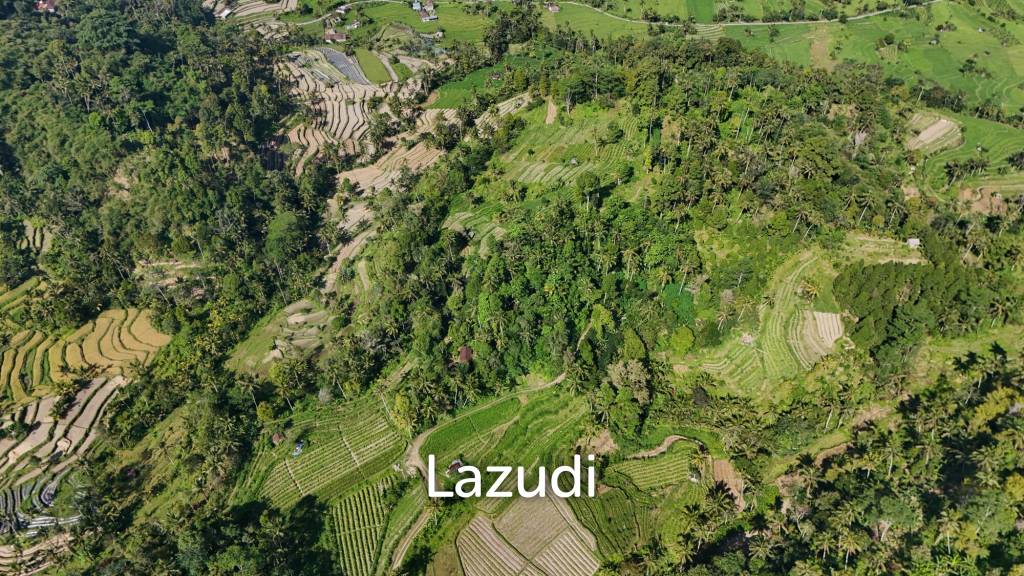 Prime 2-Hectare Freehold Development Land in Sidemen