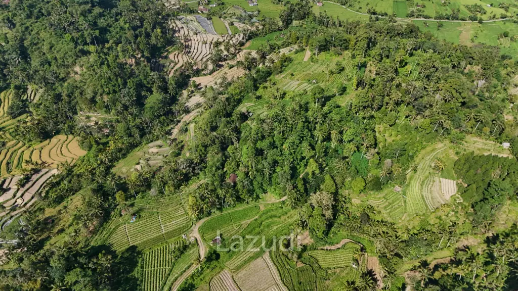 Prime 2-Hectare Freehold Development Land in Sidemen