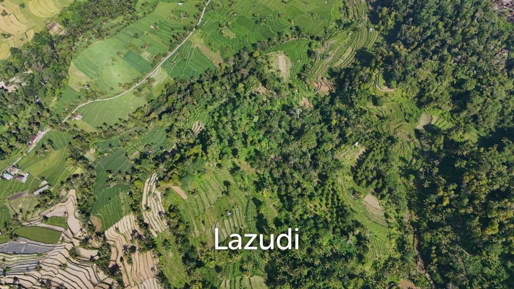Prime 2-Hectare Freehold Development Land in Sidemen