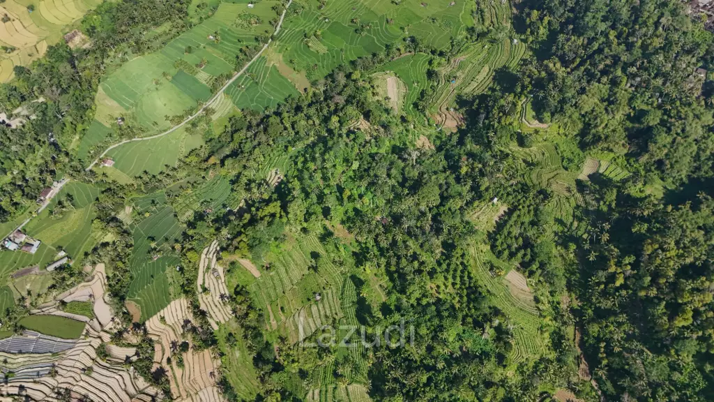 Prime 2-Hectare Freehold Development Land in Sidemen