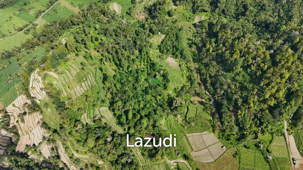 Prime 2-Hectare Freehold Development Land in Sidemen
