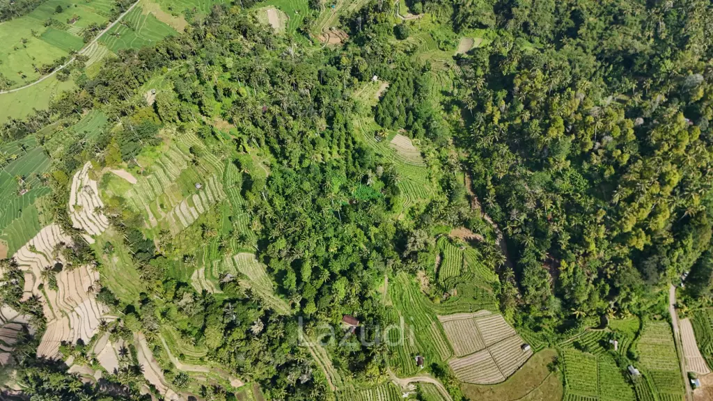 Prime 2-Hectare Freehold Development Land in Sidemen