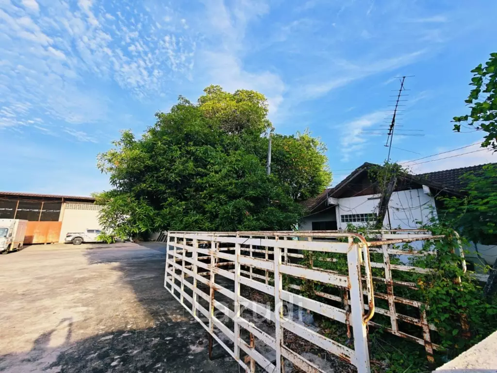 Warehouse for Sale in a Prime Location Near Lan Muang Market