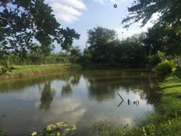 Beautiful Teak Villa next beautiful Serene Pranburi River