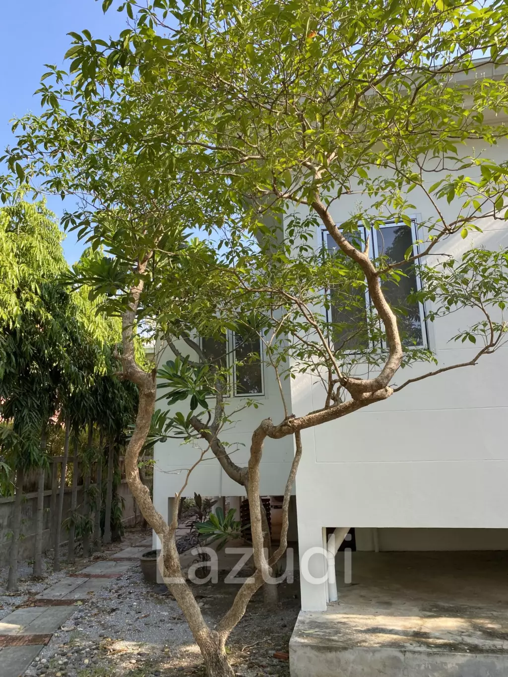 PALM HILLS HOMES ( RENOVATED ) : 3 Bed Villa at Palm Hills Golf Course