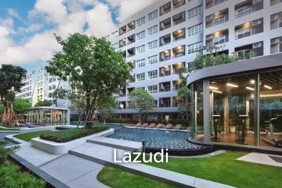 1 Bedroom 1 Bathroom 31 SQ.M at Elio Condo