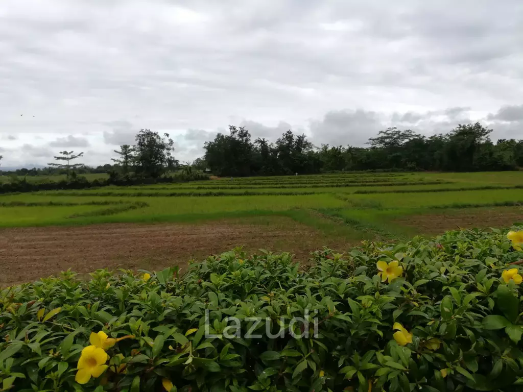 บ้านพร้อมสระว่ายน้ำส่วนตัว เฟอร์นิเจอร์ครบครัน วิวทุ่งนาและภูเขา