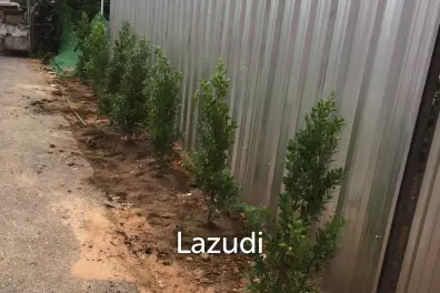1 Rai land for sale Pratumnuk