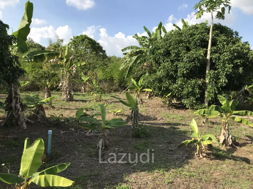 Land in Saraphi District, Chiangmai, Thandand