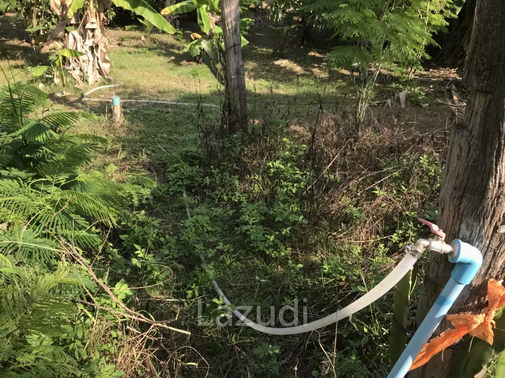 Land in Saraphi District, Chiangmai, Thandand