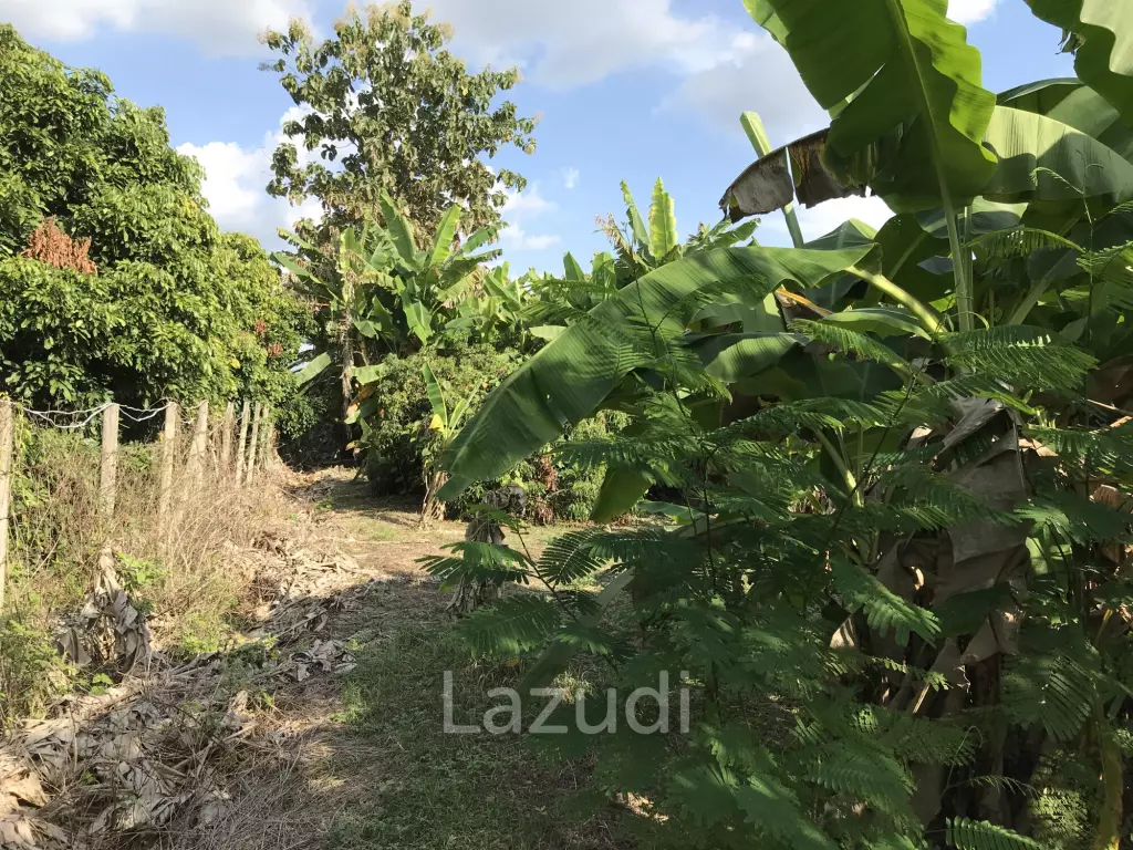 Land in Saraphi District, Chiangmai, Thandand