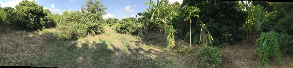 Land in Saraphi District, Chiangmai, Thandand