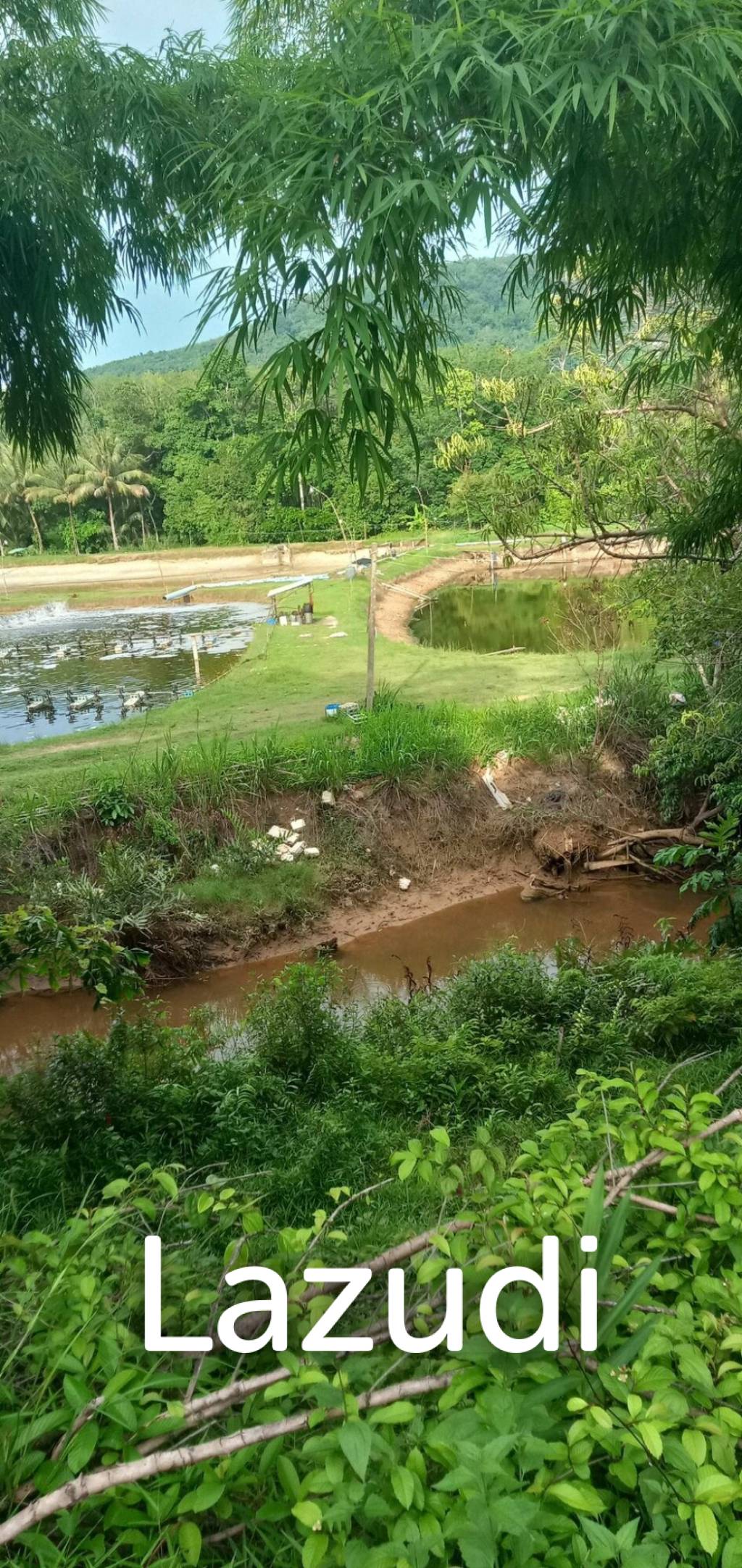 Land not attached to a mortgage 30 rai before reaching Koh Samet Nangshe