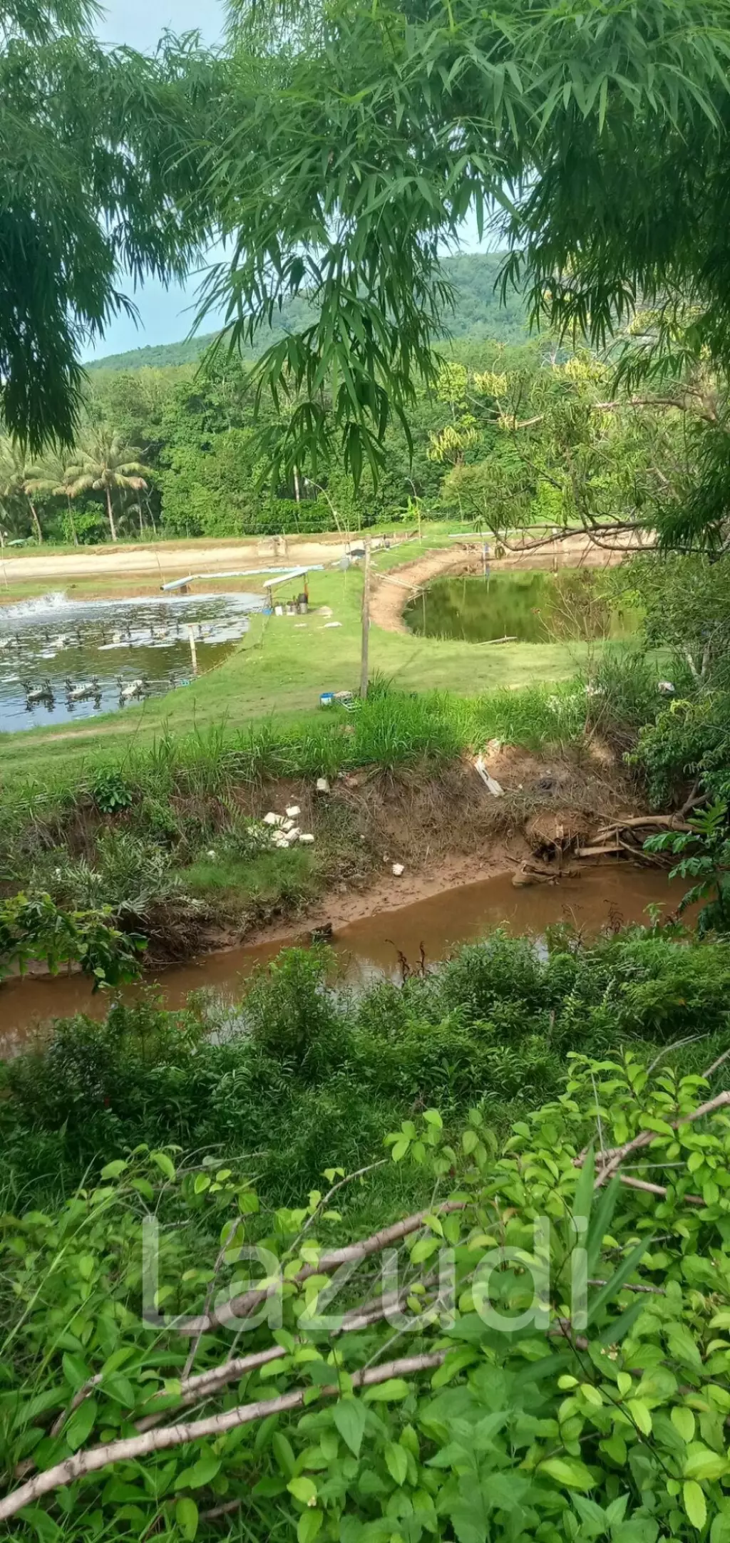 Land not attached to a mortgage 30 rai before reaching Koh Samet Nangshe