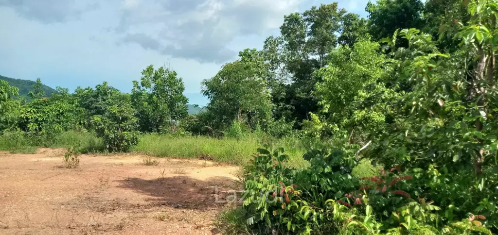 Land not attached to a mortgage 30 rai before reaching Koh Samet Nangshe
