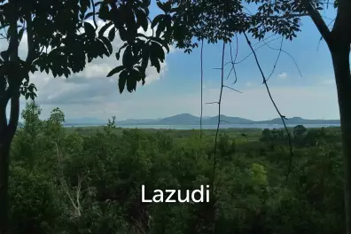 ที่ดิน 30 ไร่ (ไม่ติดจำนอง) ก่อนถึงเกาะเสม็ดนางชี