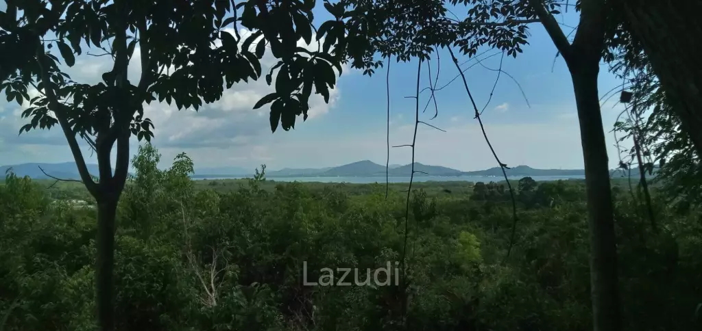 Land not attached to a mortgage 30 rai before reaching Koh Samet Nangshe