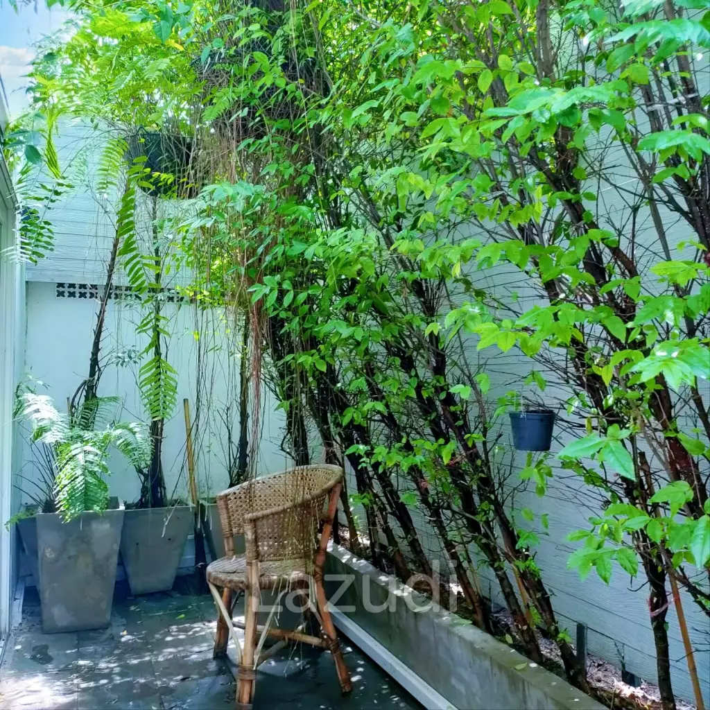 4 Bed 4 Bath 400 SQ.M Townhouse in Phra Khanong Nuea