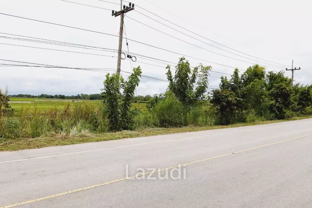 Good Location Land and Close To The Road