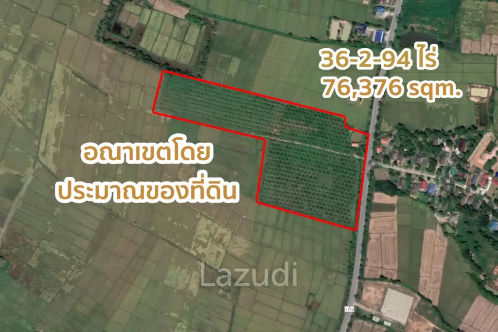 Good Location Land and Close To The Road