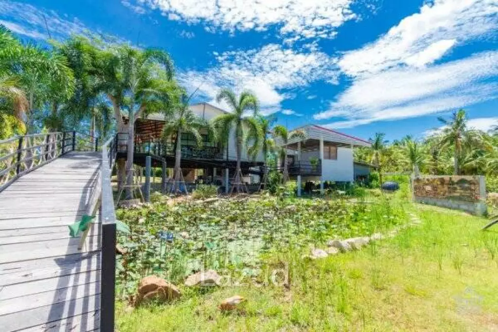 10 Rai land with 3 Bed pool villa Stunning mountain View
