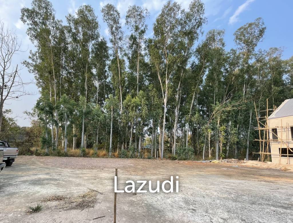 3 Bed 2 Bath House For Sale (Donkaew, MaeRim, Chiang Mai)