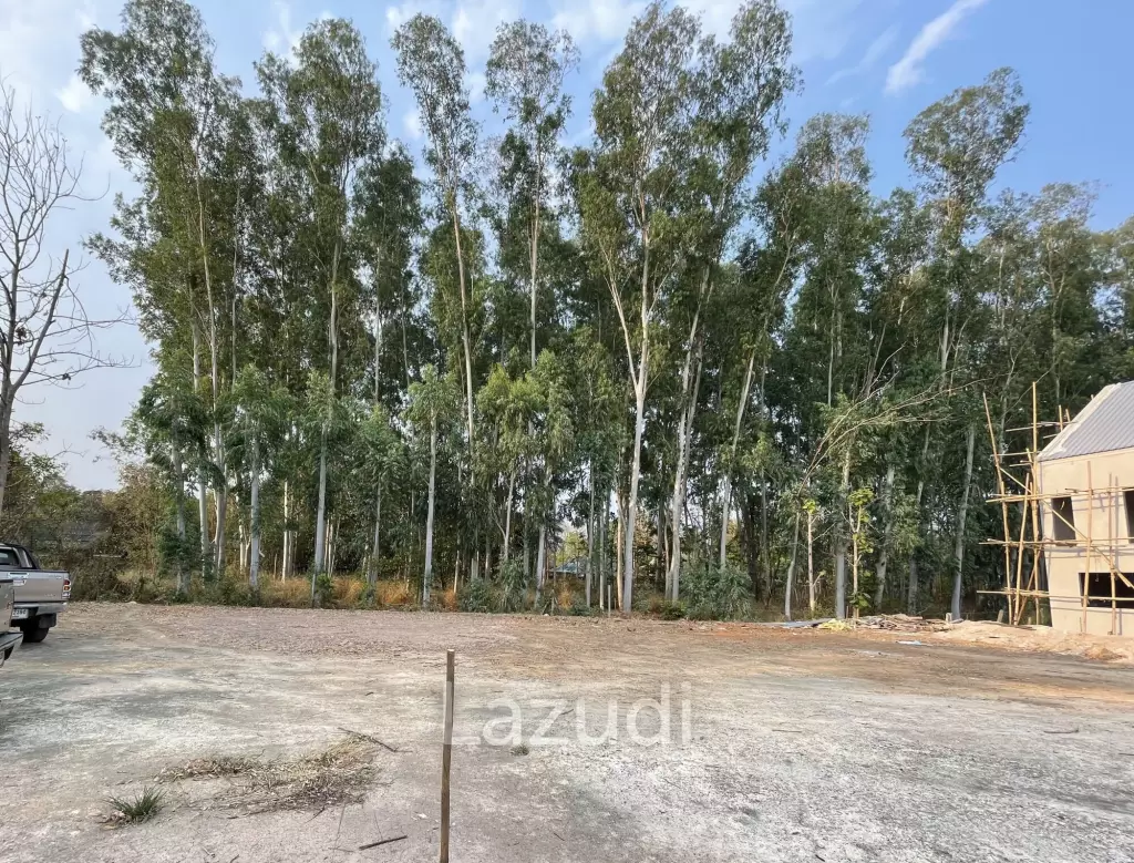 3 Bed 2 Bath House For Sale (Donkaew, MaeRim, Chiang Mai)