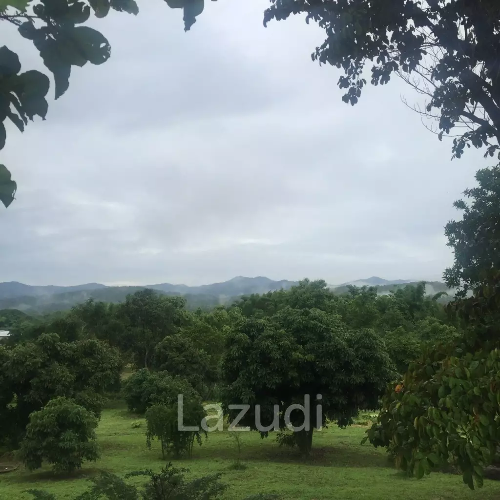 countrystyle home 5 houses with 10 rai