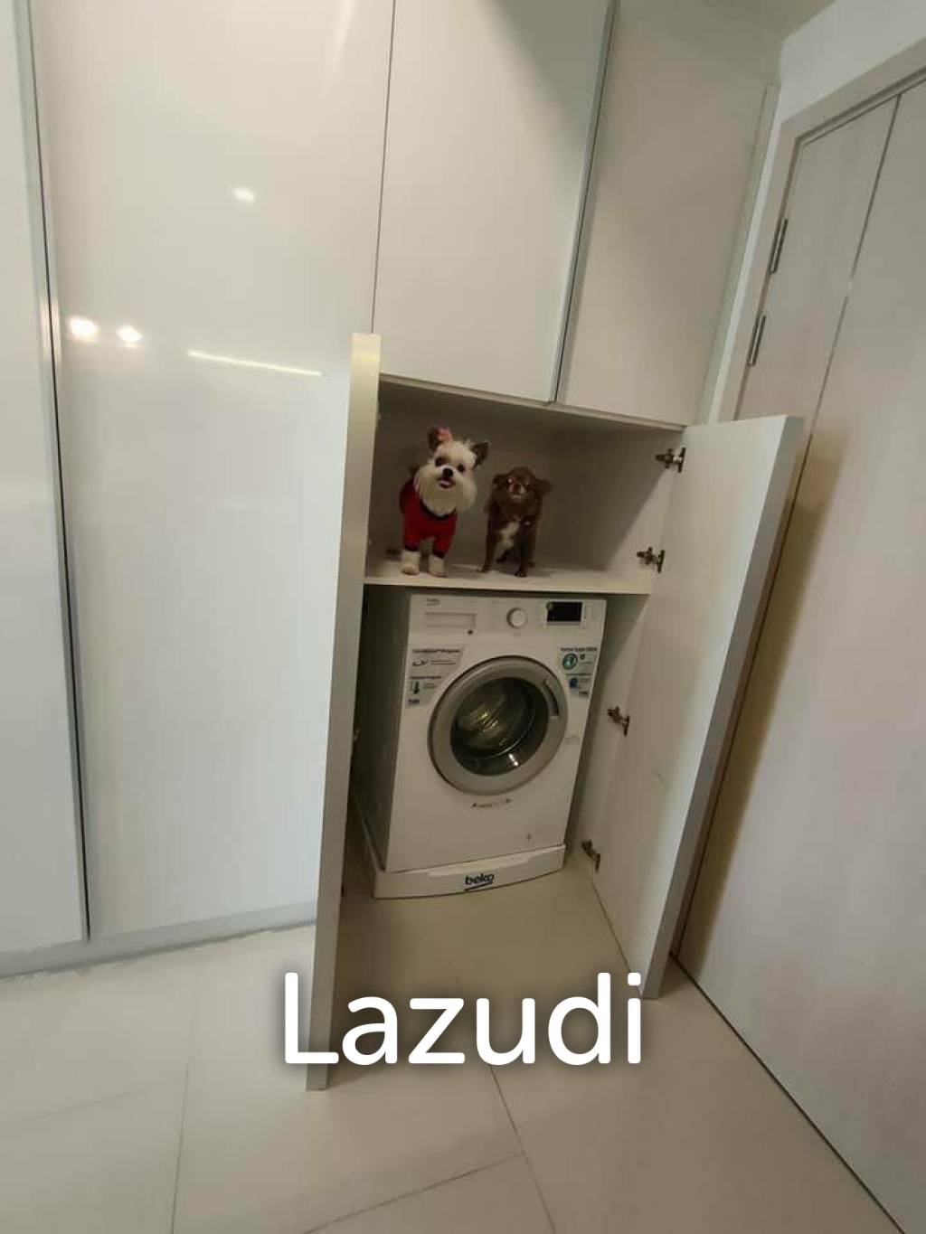 PET FRIENDLY CONDO FOR SALE: 1 Bed 29 Sqm Maestro 03 Ratchada-Rama 9