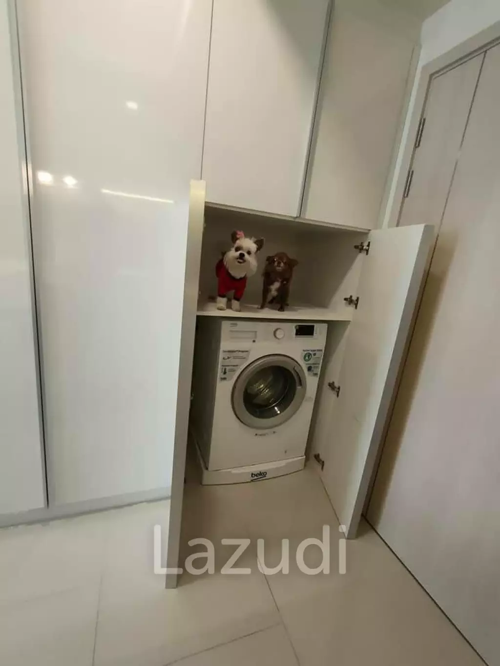 PET FRIENDLY CONDO FOR SALE: 1 Bed 29 Sqm Maestro 03 Ratchada-Rama 9