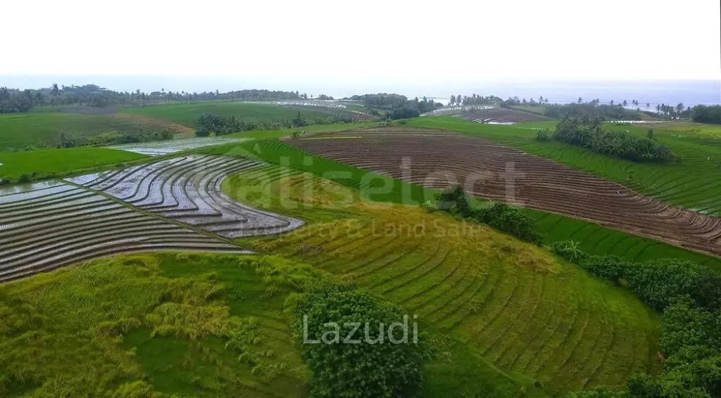 Freehold Land Close To The Beach