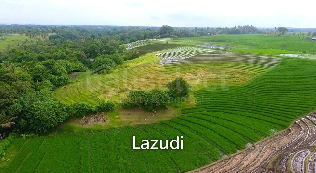 Freehold Land Close To The Beach