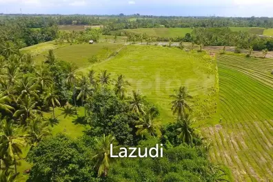 One Hectare Land With an Incredible View