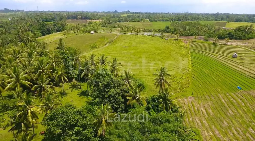 One Hectare Land With an Incredible View