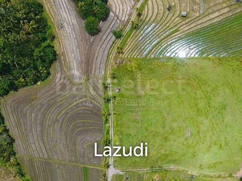One Hectare Land With an Incredible View